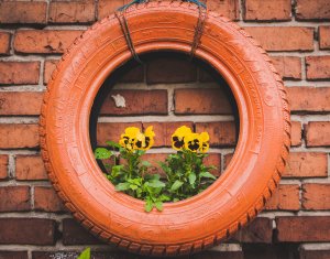 Recycled tyre planter on wall